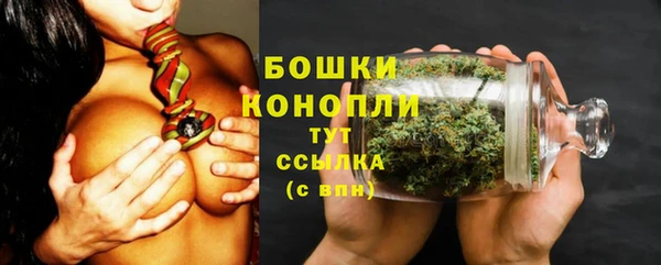 амф Бородино
