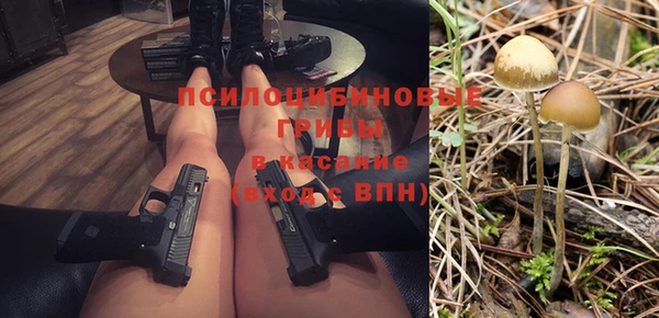 хмурый Богородицк