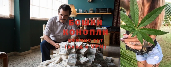 apvp Белокуриха