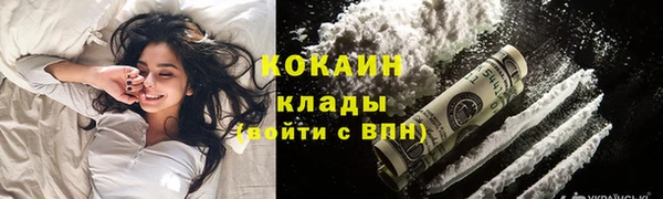 соль ск Богородск