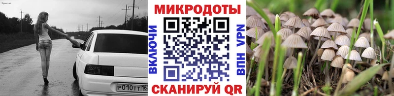 где купить   Белебей  Псилоцибиновые грибы GOLDEN TEACHER 